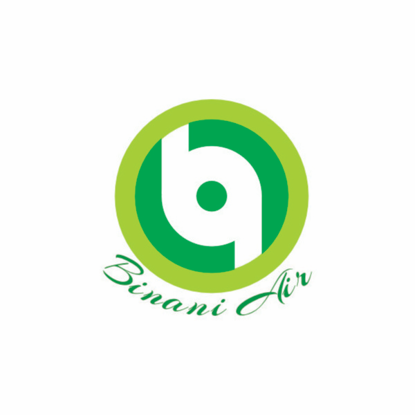 Binani Air logo